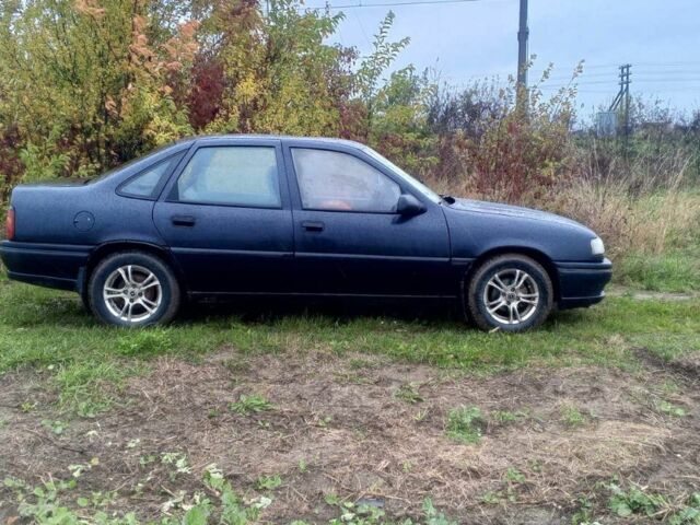 Опель Вектра 1993 в Яворове на Automoto.ua Черный Опель Вектра, объемом двигателя 1.6 л и пробегом 300 тыс. км за 1200 $, фото 1 на Automoto.ua