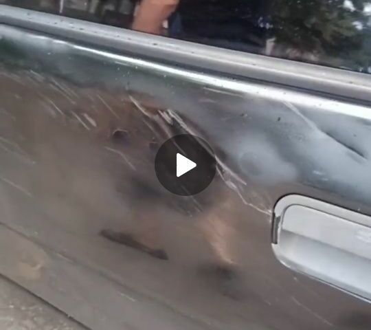 Чорний Опель Вектра, об'ємом двигуна 1.6 л та пробігом 100 тис. км за 1000 $, фото 7 на Automoto.ua