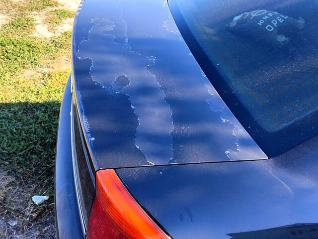 Черный Опель Вектра, объемом двигателя 2.2 л и пробегом 0 тыс. км за 4100 $, фото 6 на Automoto.ua