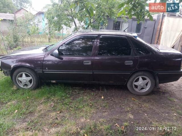 Фіолетовий Опель Вектра, об'ємом двигуна 2 л та пробігом 305 тис. км за 900 $, фото 1 на Automoto.ua