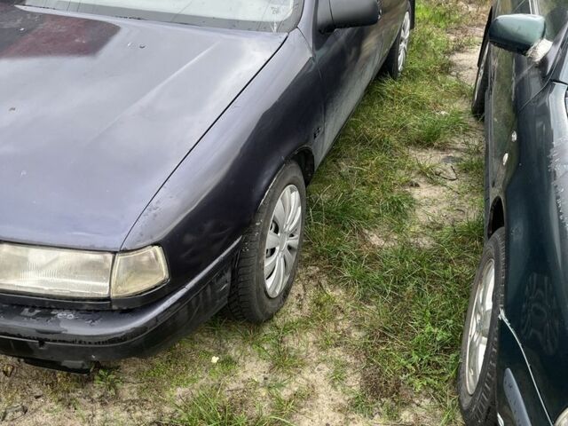 Фиолетовый Опель Вектра, объемом двигателя 2 л и пробегом 100 тыс. км за 1199 $, фото 2 на Automoto.ua