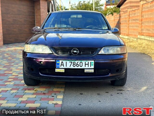 Фиолетовый Опель Вектра, объемом двигателя 1.6 л и пробегом 300 тыс. км за 1500 $, фото 1 на Automoto.ua