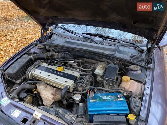 Фиолетовый Опель Вектра, объемом двигателя 0 л и пробегом 245 тыс. км за 2600 $, фото 10 на Automoto.ua