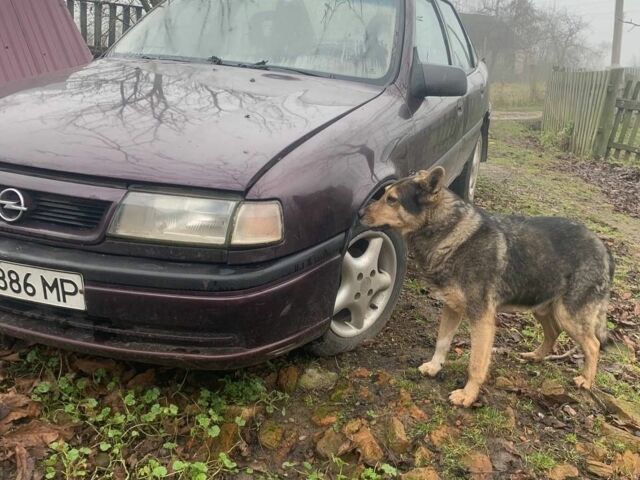 Фіолетовий Опель Вектра, об'ємом двигуна 1.6 л та пробігом 286 тис. км за 900 $, фото 6 на Automoto.ua