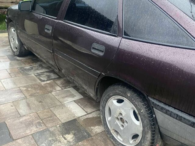 Опель Вектра 1990 в Львове на Automoto.ua Фиолетовый Опель Вектра, объемом двигателя 2 л и пробегом 190 тыс. км за 1000 $, фото 2 на Automoto.ua