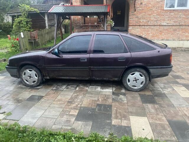 Опель Вектра 1990 в Львове на Automoto.ua Фиолетовый Опель Вектра, объемом двигателя 2 л и пробегом 190 тыс. км за 1000 $, фото 3 на Automoto.ua