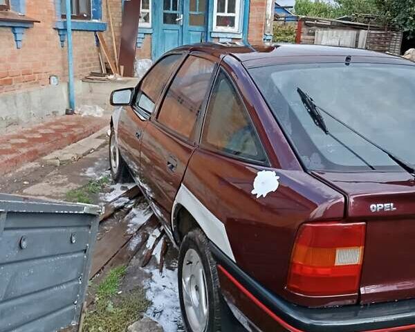 Фіолетовий Опель Вектра, об'ємом двигуна 2 л та пробігом 300 тис. км за 1200 $, фото 5 на Automoto.ua