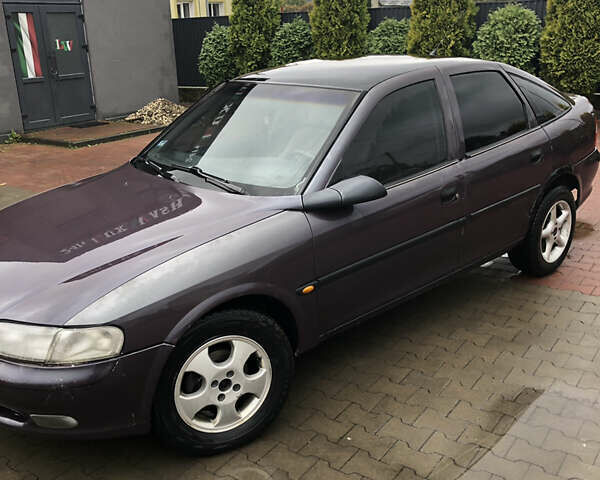 Фиолетовый Опель Вектра, объемом двигателя 1.6 л и пробегом 390 тыс. км за 1900 $, фото 1 на Automoto.ua