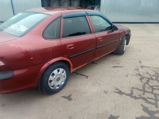 Червоний Опель Вектра, об'ємом двигуна 1.6 л та пробігом 230 тис. км за 2300 $, фото 5 на Automoto.ua