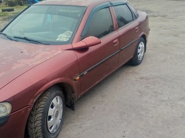 Червоний Опель Вектра, об'ємом двигуна 1.6 л та пробігом 230 тис. км за 2300 $, фото 1 на Automoto.ua