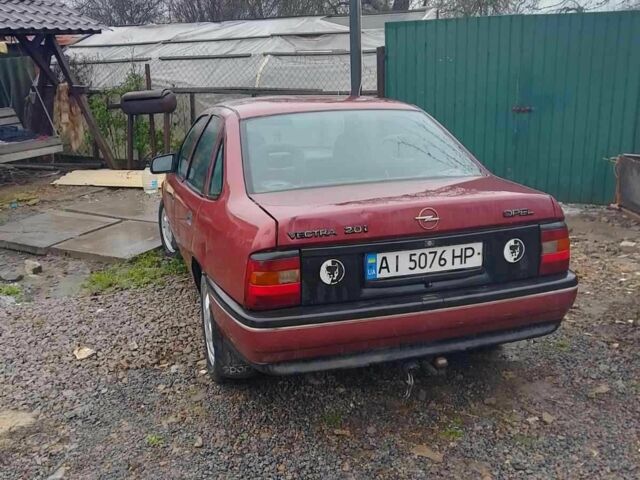 Красный Опель Вектра, объемом двигателя 2 л и пробегом 3 тыс. км за 1181 $, фото 1 на Automoto.ua