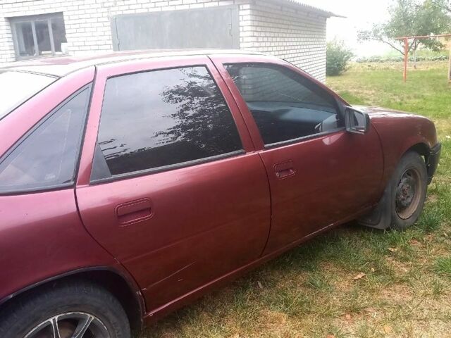 Червоний Опель Вектра, об'ємом двигуна 1.6 л та пробігом 50 тис. км за 1100 $, фото 7 на Automoto.ua