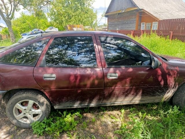 Красный Опель Вектра, объемом двигателя 2 л и пробегом 3 тыс. км за 600 $, фото 2 на Automoto.ua