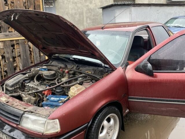 Опель Вектра 1992 в Славуте на Automoto.ua Красный Опель Вектра, объемом двигателя 0 л и пробегом 300 тыс. км за 799 $, фото 1 на Automoto.ua