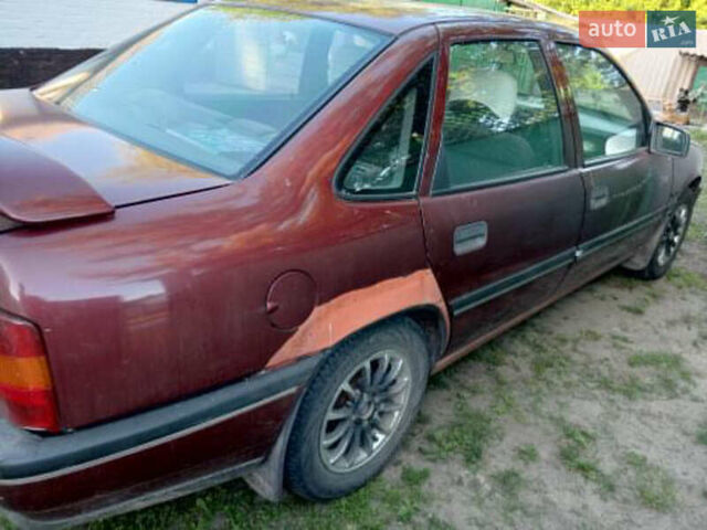 Красный Опель Вектра, объемом двигателя 1.8 л и пробегом 263 тыс. км за 1300 $, фото 5 на Automoto.ua
