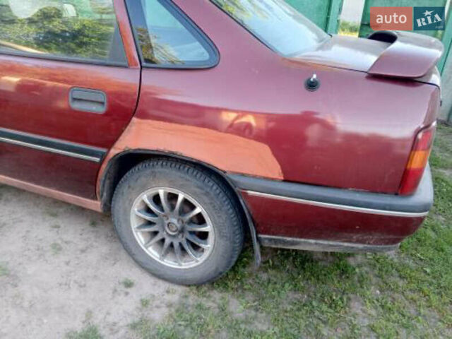Красный Опель Вектра, объемом двигателя 1.8 л и пробегом 263 тыс. км за 1300 $, фото 8 на Automoto.ua