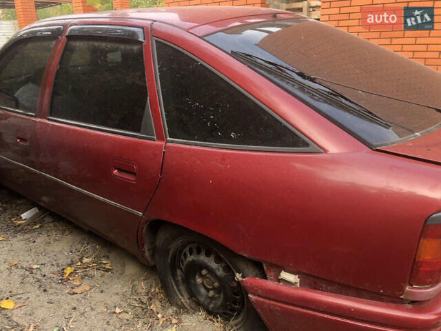 Опель Вектра 1993 в Никополе на Automoto.ua Красный Опель Вектра, объемом двигателя 2 л и пробегом 443 тыс. км за 500 $, фото 2 на Automoto.ua