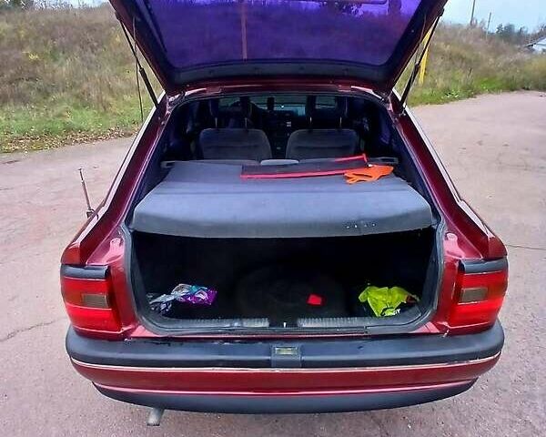 Опель Вектра 1995 в Коростене на Automoto.ua Красный Опель Вектра, объемом двигателя 2 л и пробегом 318 тыс. км за 2300 $, фото 4 на Automoto.ua