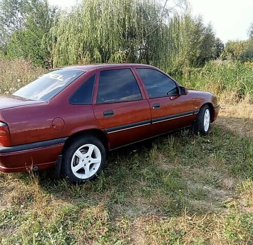 Красный Опель Вектра, объемом двигателя 1.8 л и пробегом 280 тыс. км за 1999 $, фото 2 на Automoto.ua