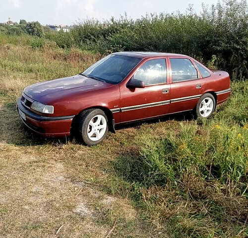 Опель Вектра 1995 в Ровно на Automoto.ua Красный Опель Вектра, объемом двигателя 1.8 л и пробегом 280 тыс. км за 1999 $, фото 1 на Automoto.ua