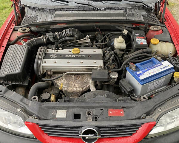 Красный Опель Вектра, объемом двигателя 2 л и пробегом 259 тыс. км за 3200 $, фото 16 на Automoto.ua