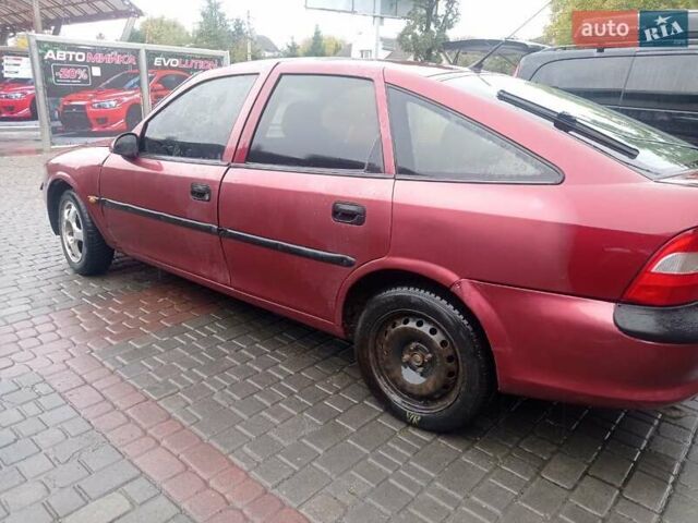Красный Опель Вектра, объемом двигателя 1.6 л и пробегом 217 тыс. км за 999 $, фото 4 на Automoto.ua