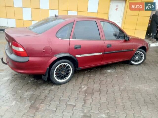 Красный Опель Вектра, объемом двигателя 1.6 л и пробегом 220 тыс. км за 1800 $, фото 2 на Automoto.ua
