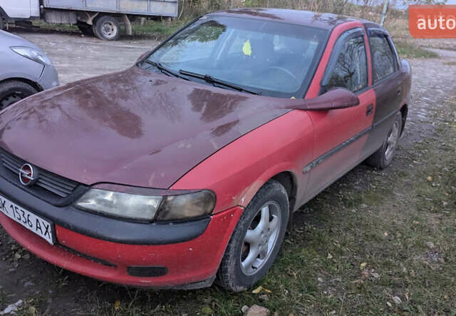 Красный Опель Вектра, объемом двигателя 1.8 л и пробегом 200 тыс. км за 999 $, фото 1 на Automoto.ua