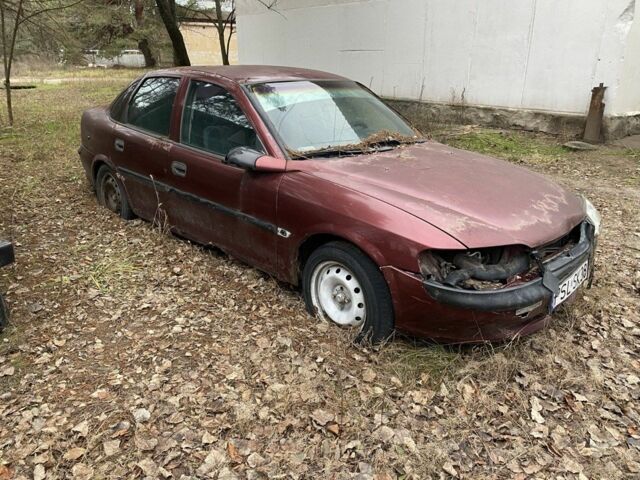 Червоний Опель Вектра, об'ємом двигуна 1.6 л та пробігом 300 тис. км за 400 $, фото 1 на Automoto.ua