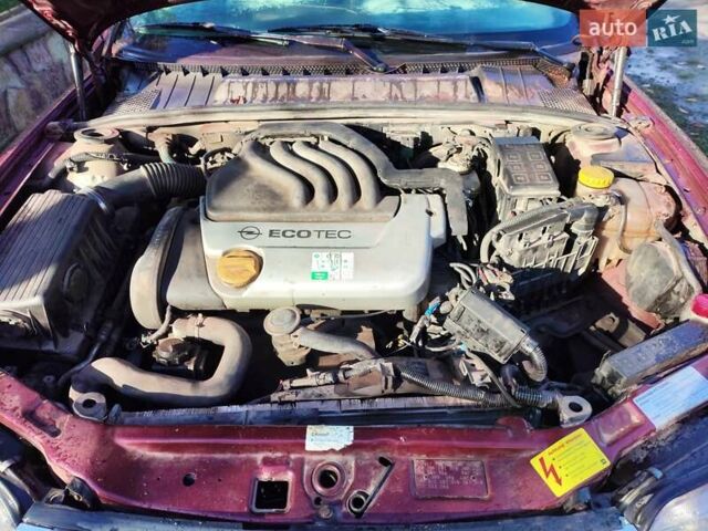 Червоний Опель Вектра, об'ємом двигуна 1.6 л та пробігом 285 тис. км за 1249 $, фото 13 на Automoto.ua