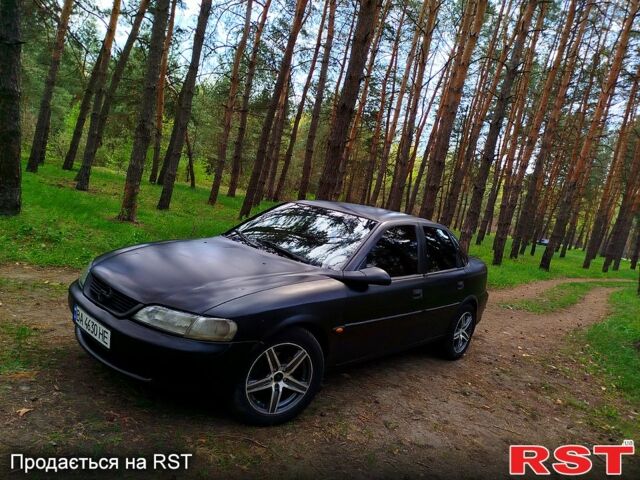 Опель Вектра, объемом двигателя 2 л и пробегом 232 тыс. км за 2599 $, фото 8 на Automoto.ua