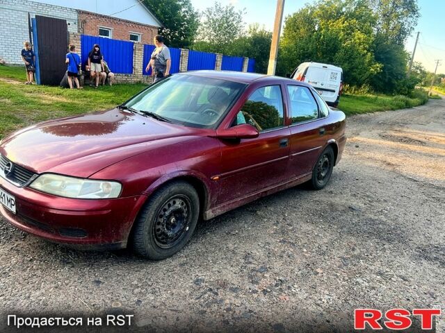 Опель Вектра, объемом двигателя 1.6 л и пробегом 300 тыс. км за 1300 $, фото 5 на Automoto.ua