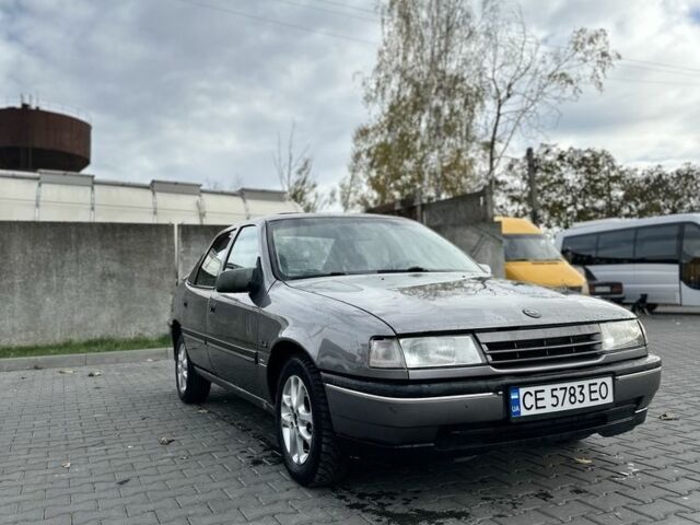 Опель Вектра 1989 у Чернівцях на Automoto.ua Сірий Опель Вектра, об'ємом двигуна 1.6 л та пробігом 260 тис. км за 1350 $, фото 1 на Automoto.ua