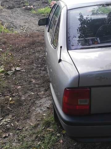 Опель Вектра 1990 в Изяслве на Automoto.ua Серый Опель Вектра, объемом двигателя 1.6 л и пробегом 300 тыс. км за 1650 $, фото 17 на Automoto.ua