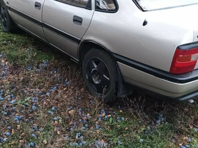 Опель Вектра 1990 у Краматорске на Automoto.ua Сірий Опель Вектра, об'ємом двигуна 1.6 л та пробігом 405 тис. км за 1200 $, фото 3 на Automoto.ua