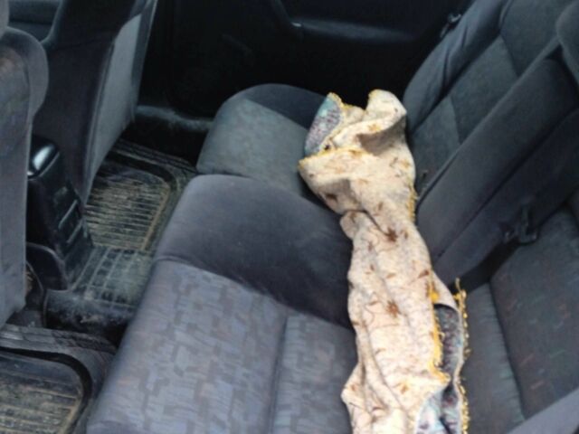 Сірий Опель Вектра, об'ємом двигуна 1.6 л та пробігом 278 тис. км за 1800 $, фото 9 на Automoto.ua