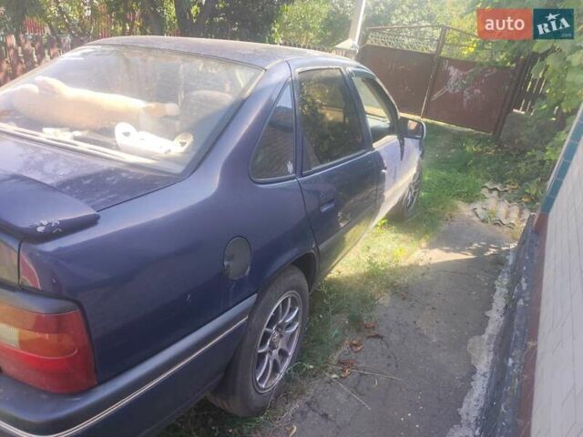 Опель Вектра 1993 в Ровно на Automoto.ua Синий Опель Вектра, объемом двигателя 2 л и пробегом 40 тыс. км за 2100 $, фото 4 на Automoto.ua