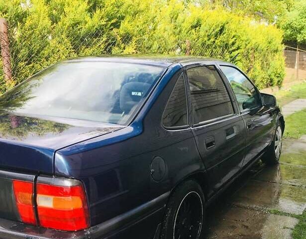 Опель Вектра 1995 в Львове на Automoto.ua Синий Опель Вектра, объемом двигателя 1.8 л и пробегом 200 тыс. км за 1100 $, фото 3 на Automoto.ua