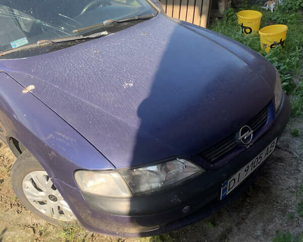 Синій Опель Вектра, об'ємом двигуна 1.6 л та пробігом 300 тис. км за 1650 $, фото 1 на Automoto.ua