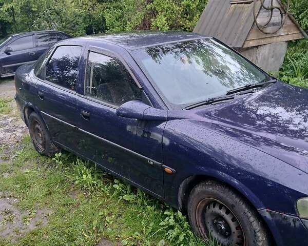 Синий Опель Вектра, объемом двигателя 1.6 л и пробегом 343 тыс. км за 2500 $, фото 2 на Automoto.ua