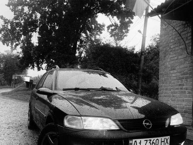 Опель Вектра 1997 у Бердичеве на Automoto.ua Синій Опель Вектра, об'ємом двигуна 1.6 л та пробігом 505 тис. км за 2400 $, фото 1 на Automoto.ua