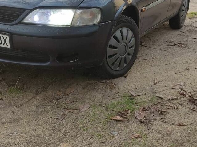 Опель Вектра 1996 у Кропивницькому (Кіровограді) на Automoto.ua Синій Опель Вектра, об'ємом двигуна 1.6 л та пробігом 350 тис. км за 1500 $, фото 1 на Automoto.ua