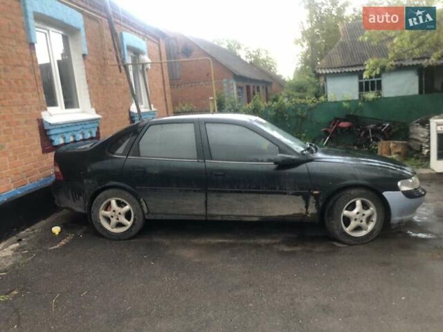 Зеленый Опель Вектра, объемом двигателя 1.6 л и пробегом 258 тыс. км за 1650 $, фото 5 на Automoto.ua