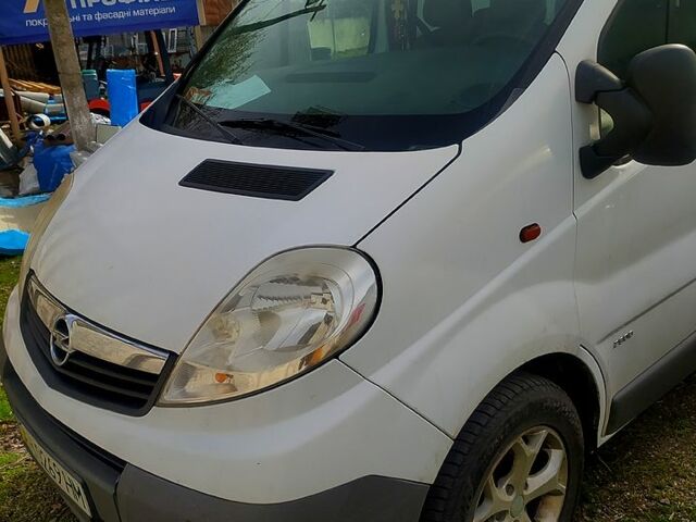 Опель Виваро, объемом двигателя 2 л и пробегом 270 тыс. км за 6000 $, фото 2 на Automoto.ua