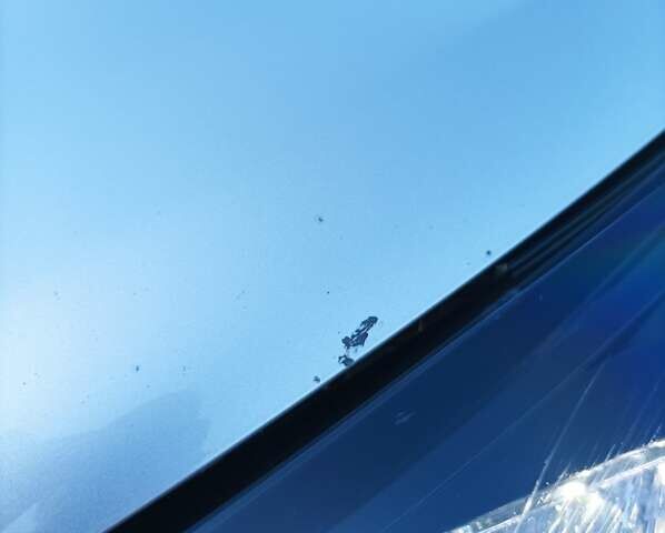 Серый Опель Виваро, объемом двигателя 1.6 л и пробегом 290 тыс. км за 22400 $, фото 45 на Automoto.ua