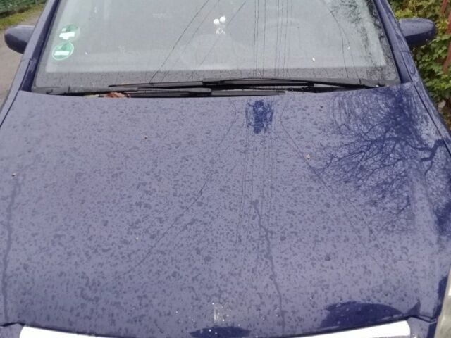 Опель Зафира 2006 в Новорад-Волынском на Automoto.ua Синий Опель Зафира, объемом двигателя 1 л и пробегом 350 тыс. км за 5000 $, фото 4 на Automoto.ua