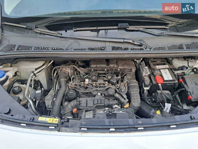 Опель Combo Cargo 2022 в Гадяче на Automoto.ua Белый Опель Combo Cargo, объемом двигателя 1.5 л и пробегом 120 тыс. км за 15750 $, фото 21 на Automoto.ua