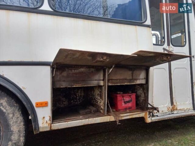 Белый ПАЗ 32053, объемом двигателя 4.8 л и пробегом 1 тыс. км за 3950 $, фото 1 на Automoto.ua