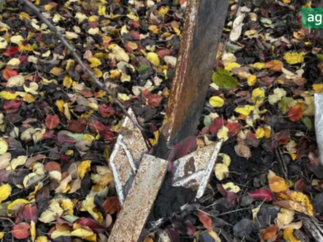 ПЛН 4-35, объемом двигателя 0 л и пробегом 0 тыс. км за 988 $, фото 3 на Automoto.ua