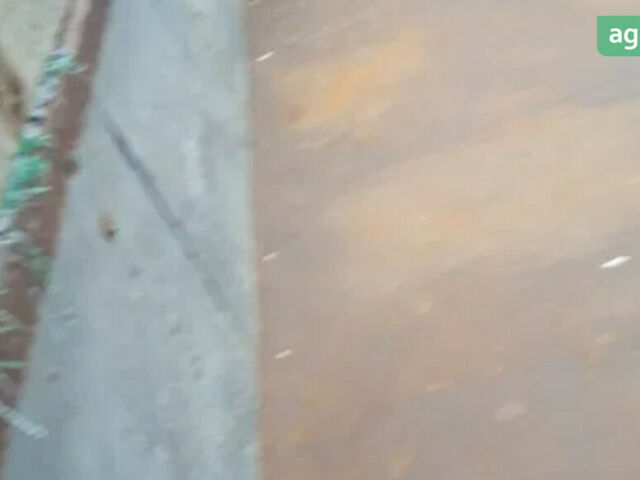 ПТС 1ПТС 2, объемом двигателя 0 л и пробегом 0 тыс. км за 1100 $, фото 5 на Automoto.ua